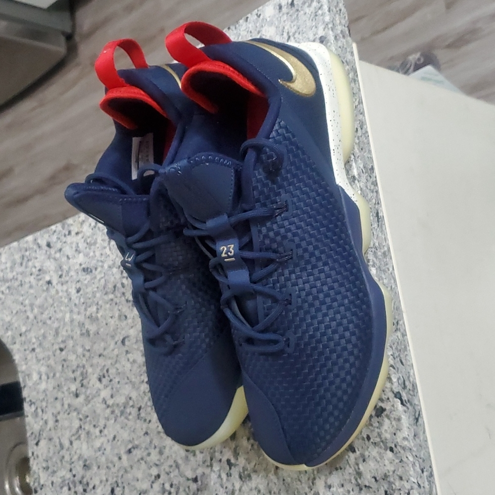 Lebron 14 Low USA